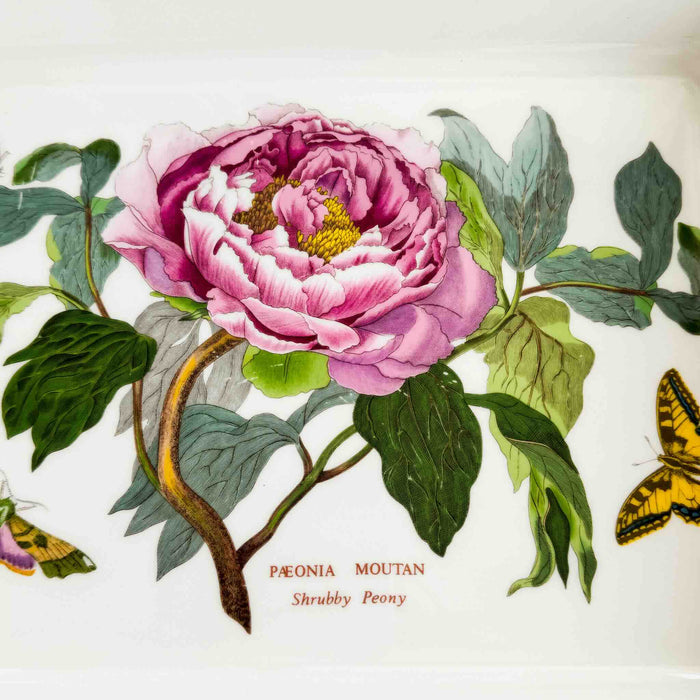 Close-up of peony flower and Paeonia Moutan Shrubby Peony identifying text