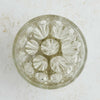 Top down view of 19-hold glass frog on a light background