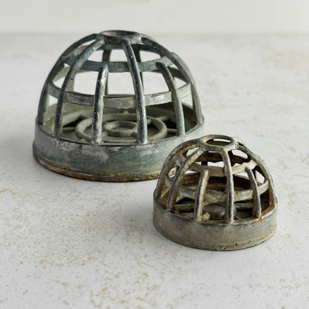 Profile view of domed cage frogs on a light background