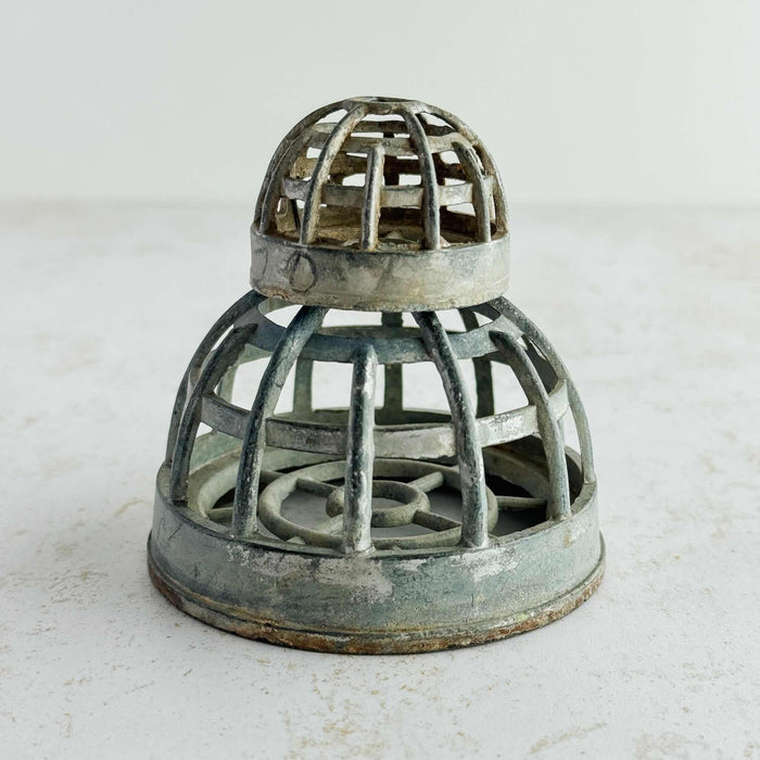 Profile view of the smaller domed cage frog stacked on top of the larger frog