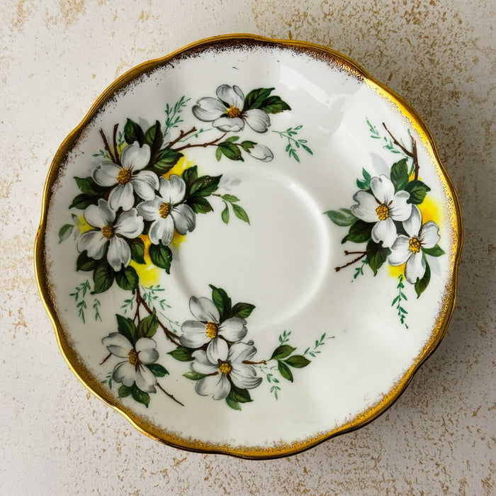 Top down view of Royal Albert White Dogwood saucer