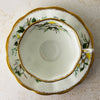 Top down view of Royal Albert White Dogwood teacup and matching saucer