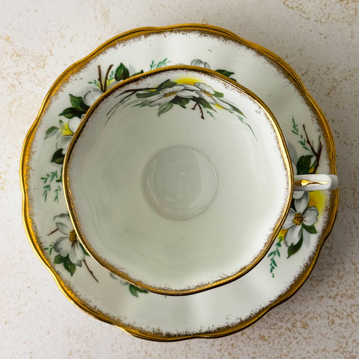 Top down view of Royal Albert White Dogwood teacup and matching saucer