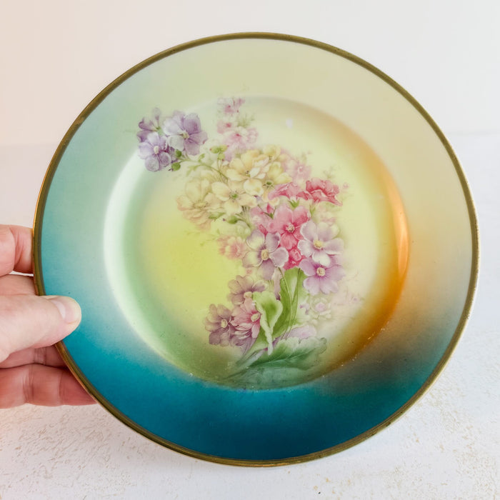 Full view of vintage bavaria plate with a hand for scale