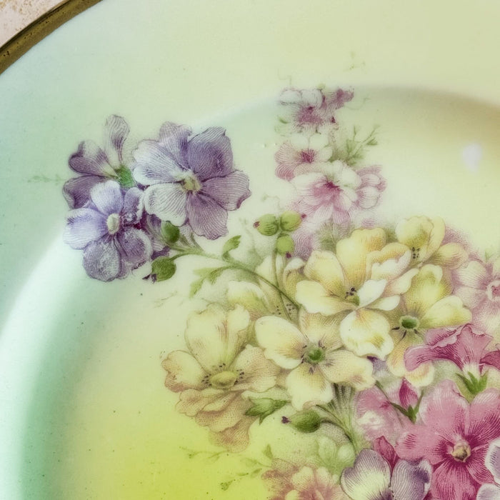 Close-up upper left section of the vintage bavaria plate showing the gold edge, pale blue border, and purple and white blossoms