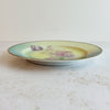 Side view of vintage bavaria plate