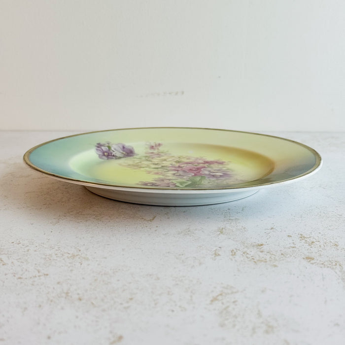 Side view of vintage bavaria plate
