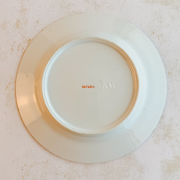 Back view of vintage plate showing BAVARIA mark