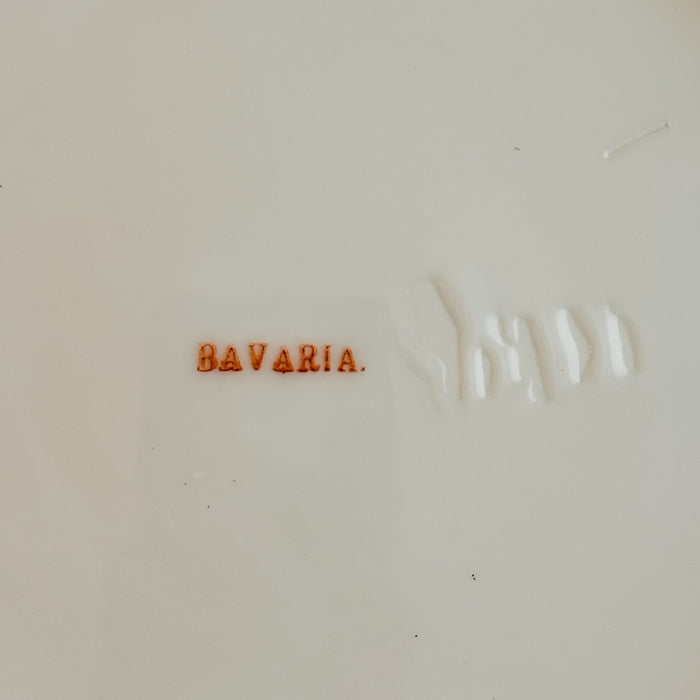 Backstamp and manufacturing glaze skips on back of vintage Bavaria plate