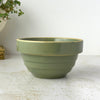 Vintage Over and Back green yellow ware bowl with stepped sides and exposed yellowware rim styled with trailing plant