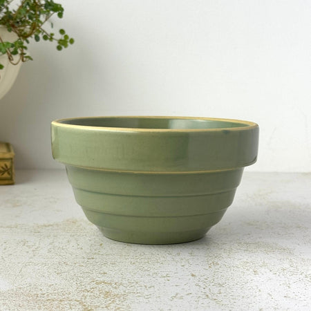 Vintage Over and Back green yellow ware bowl with stepped sides and exposed yellowware rim styled with trailing plant
