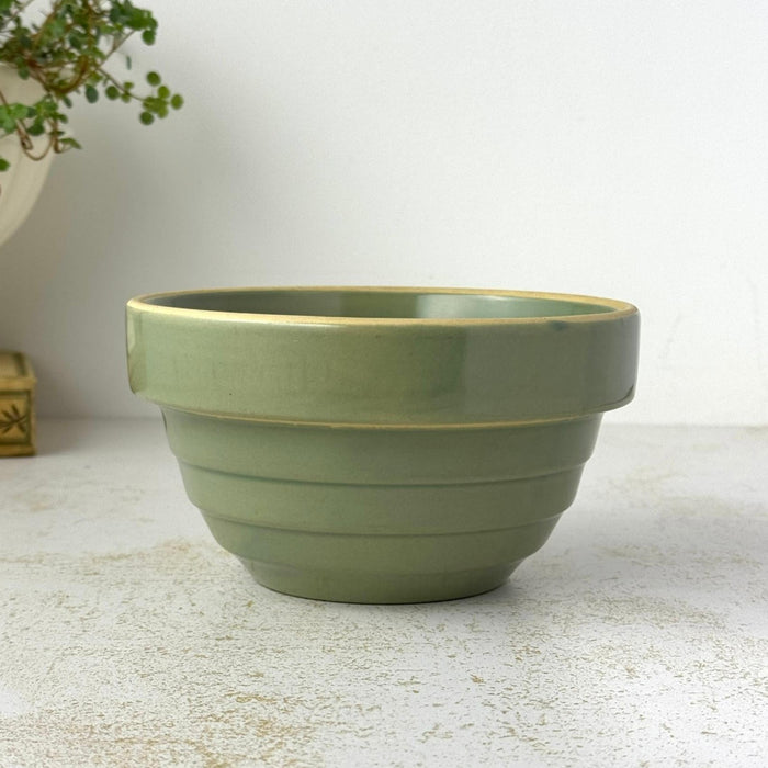 Vintage Over and Back green yellow ware bowl with stepped sides and exposed yellowware rim styled with trailing plant