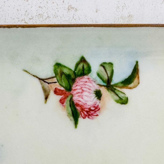 Close-up of clover on bavaria porcelain dish