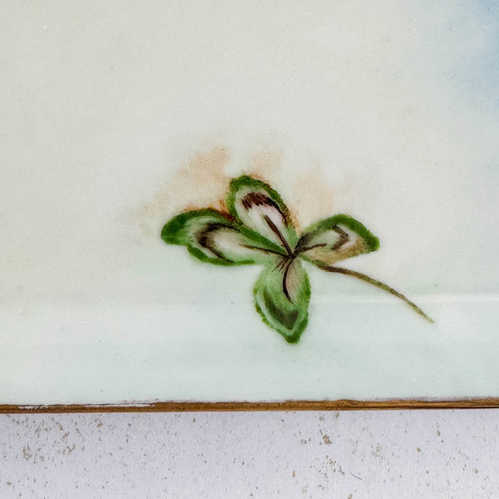 Close-up of four-leaf clover on bavaria porcelain dish