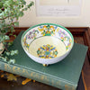 Vintage porcelain bowl resting on a green clothbound book, with its colorful interior decoration, green rim, and gold-accented feet visible beside a plant and framed botanical print.