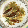 Close-up of two brown and gray long-billed snipe standing among grasses and foliage at the center of the porcelain plate.
