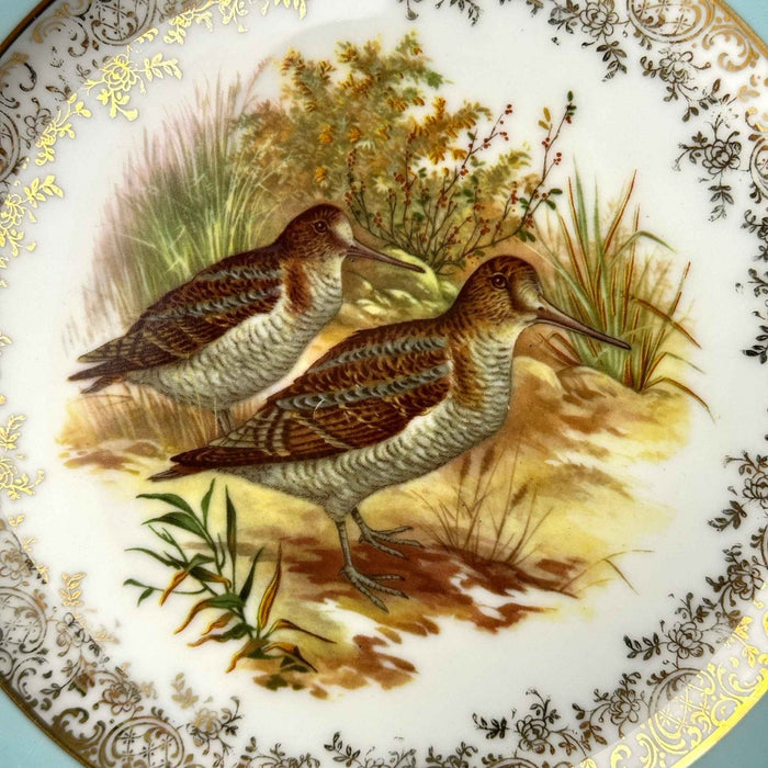 Close-up of two brown and gray long-billed snipe standing among grasses and foliage at the center of the porcelain plate.