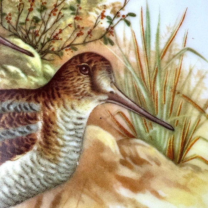 Detailed close-up of the second snipe against painted grasses and warm neutral foliage.