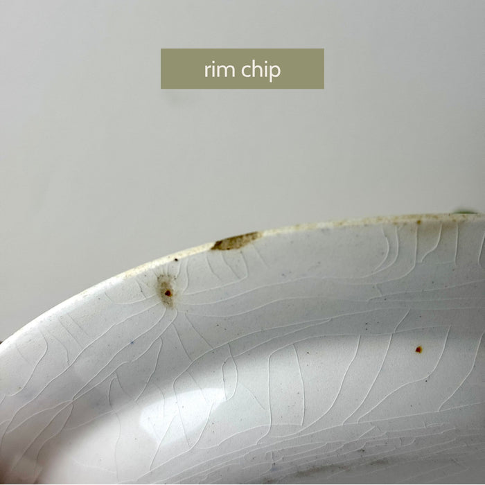 Close-up of shallow rim chip on one plate with visible crazing and small age-related marks.