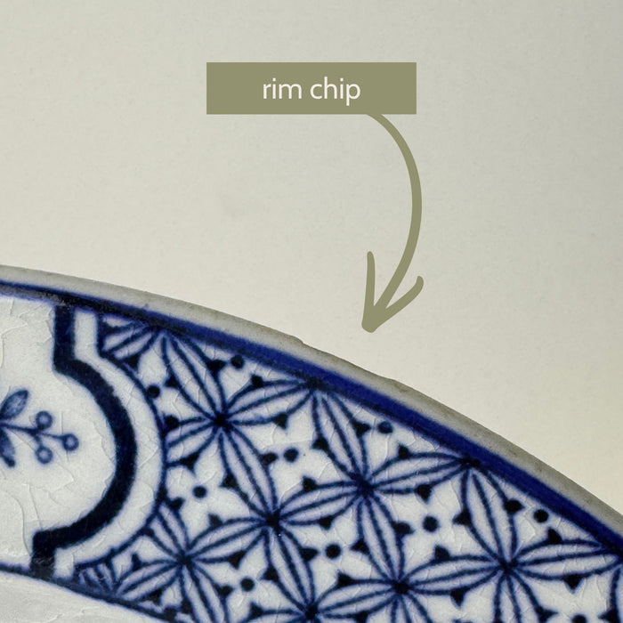 Close-up of shallow rim chip visible from the front of one Wood & Sons Yuan blue and white plate.