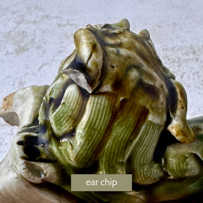 Close-up of the second foo dog showing a chip to the ear with visible glaze wear and patina