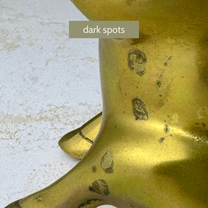 Close-up showing several dark spots on the leg and lower body of one brass pig bookend.