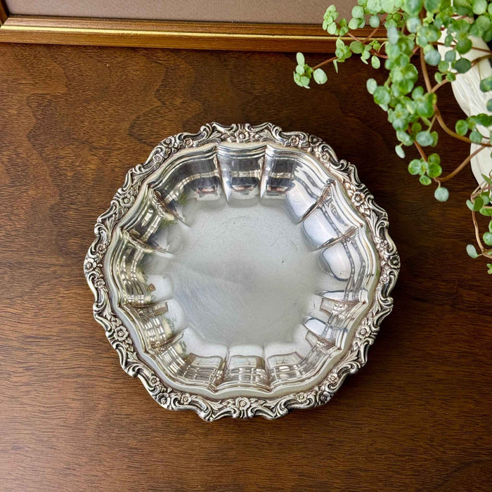 Overhead view of vintage silverplate bowl with an ornate floral border styled on a dark wood surface beside a trailing green plant.