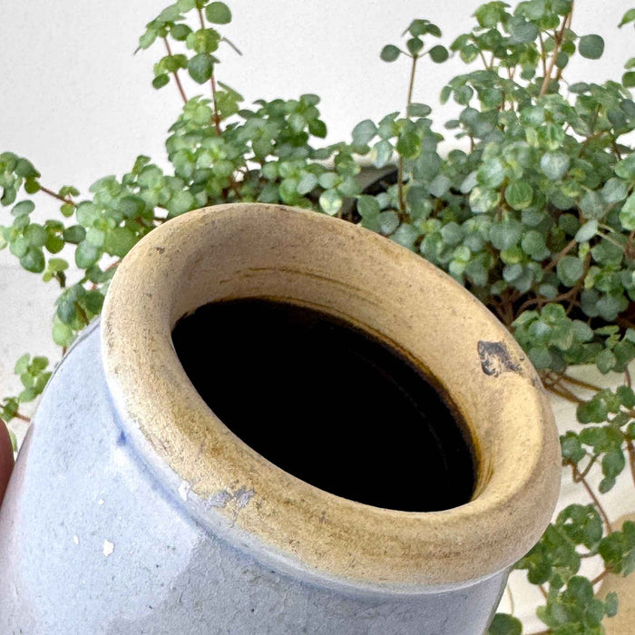 Close-up of thick buff-colored rim on a vintage gray-blue stoneware crock showing irregular glaze and surface marks.