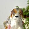 Close-up front view of ceramic dog figurine showing the painted brown ears, tiny eyes, black nose, and glossy crazed glaze.