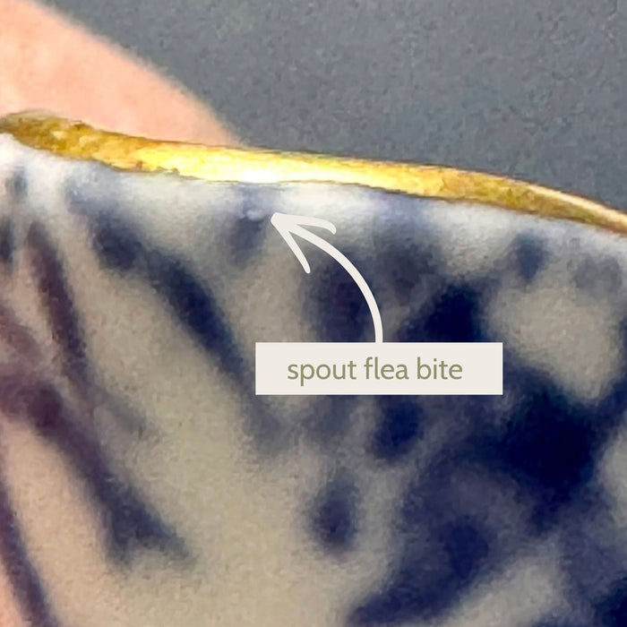 Close-up of the creamer spout showing the tiny flea bite just below the gold-trimmed rim.