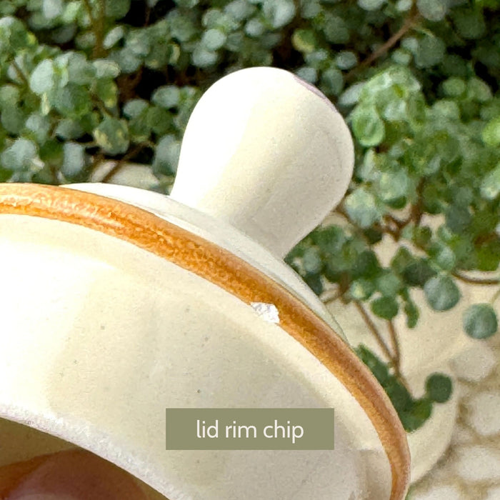 Close-up of sugar bowl lid showing a small chip along the underside rim in the golden brown painted edging.