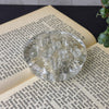 Vintage clear glass flower frog with eleven holes, styled on the open pages of an old book beside a trailing green plant.
