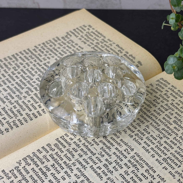 Vintage clear glass flower frog with eleven holes, styled on the open pages of an old book beside a trailing green plant.