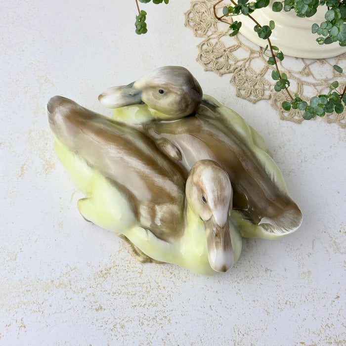 Overhead view of a porcelain figurine depicting two ducks nestled together, with soft yellow-green bodies and brown and gray feather decoration, beside a trailing green plant and crochet lace.