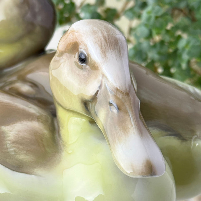 Close-up of the first duck's head, showing its long pale brown bill, dark eye, softly shaded face, and glossy yellow-green neck.