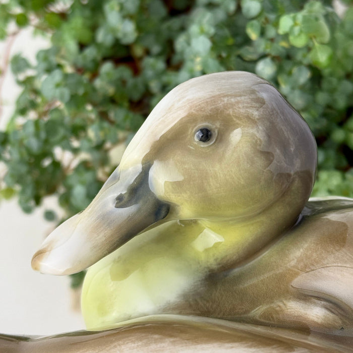 Close-up of the second duck's head in profile, showing its rounded brown crown, dark eye, gray-shaded bill, and pale yellow-green neck.