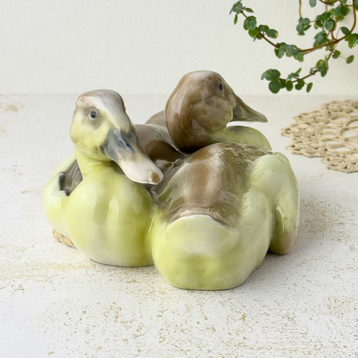 Opposite angled view of the two ducks, showing their differently positioned heads, overlapping bodies, and softly painted brown and gray feathers.