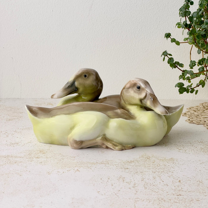 Side view of the two ducks nestled together, showing their long bills, rounded bodies, folded wings, and brown and yellow-green coloring.
