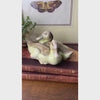 Video of Rosenthal porcelain duck pair displayed on two antique books with burgundy covers and floral gilt decoration, beside a green plant and framed artwork.