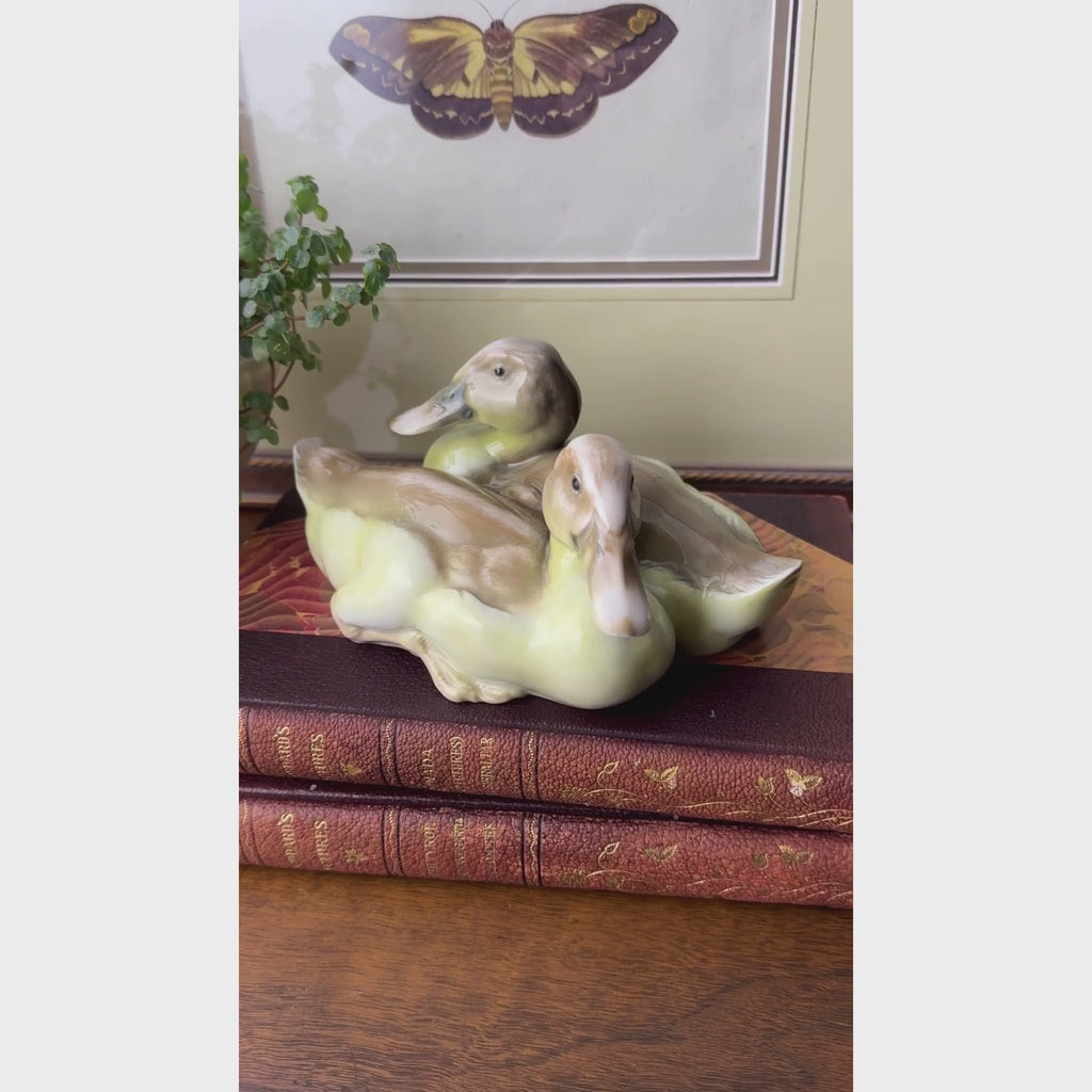 Video of Rosenthal porcelain duck pair displayed on two antique books with burgundy covers and floral gilt decoration, beside a green plant and framed artwork.