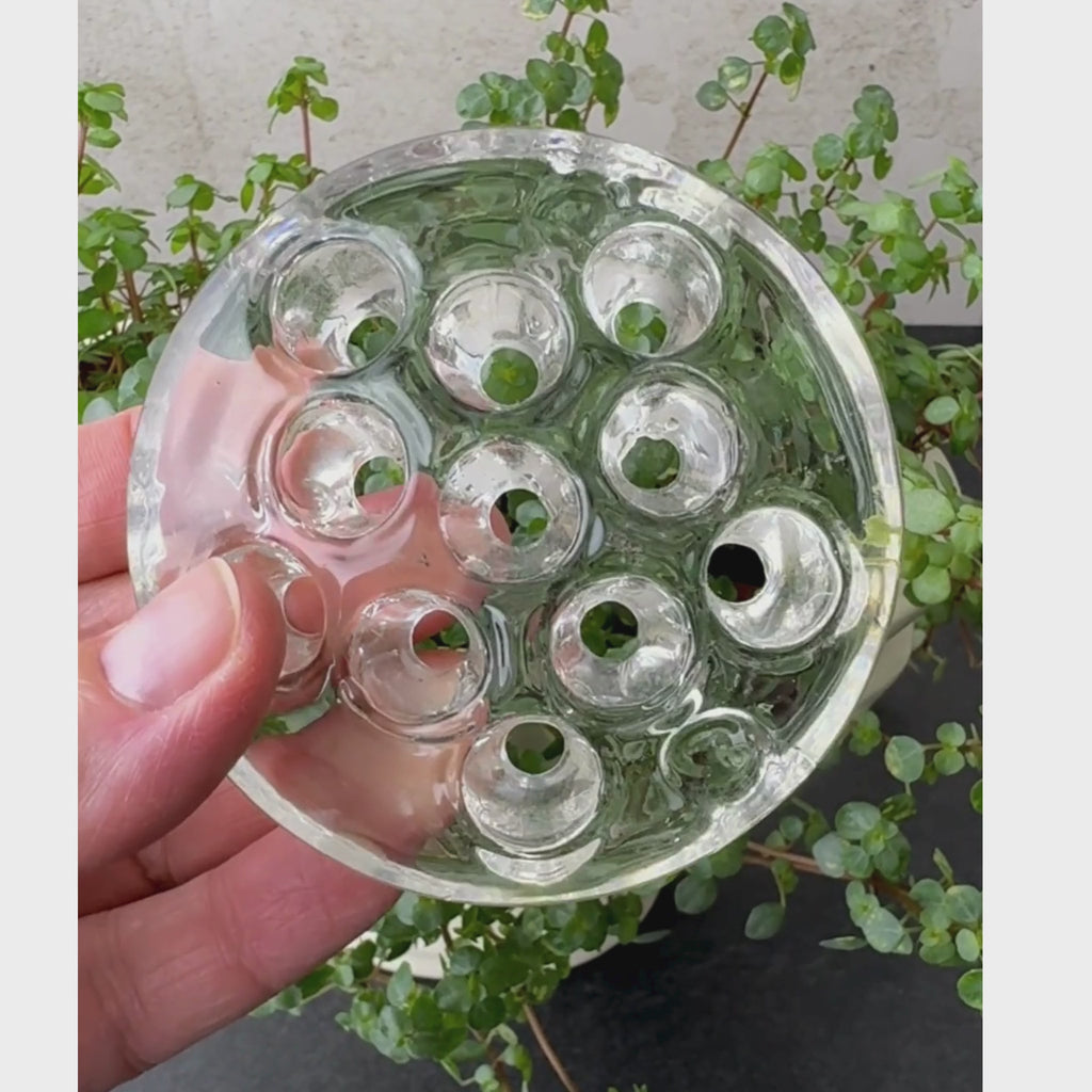 Video of low-profile round clear glass flower frog with eleven stem openings being turned by hand to show front and back.