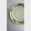Short panning video of antique painted plate in natural light showing surface detail and soft finish