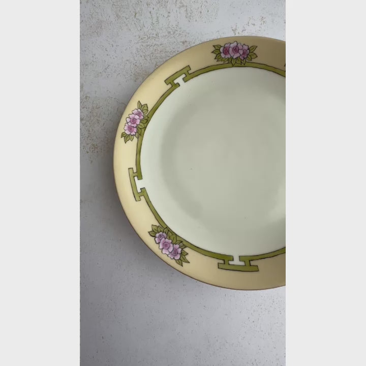 Short panning video of antique painted plate in natural light showing surface detail and soft finish