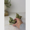 Pair of vintage foo dog figurines shown teogether on a neutral backdrop, then the front figurine is handled to show the shape and underside