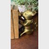 Video of vintage brass pig bookends holding three small books on a wooden shelf in front of framed landscape artwork.