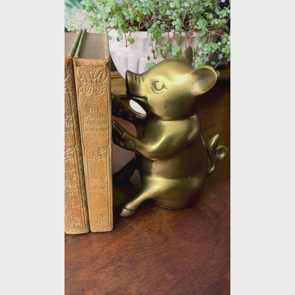 Video of vintage brass pig bookends holding three small books on a wooden shelf in front of framed landscape artwork.